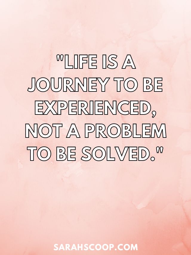 "Life is a journey to be experienced, not a problem to be solved." - Pooh in Winnie the Pooh