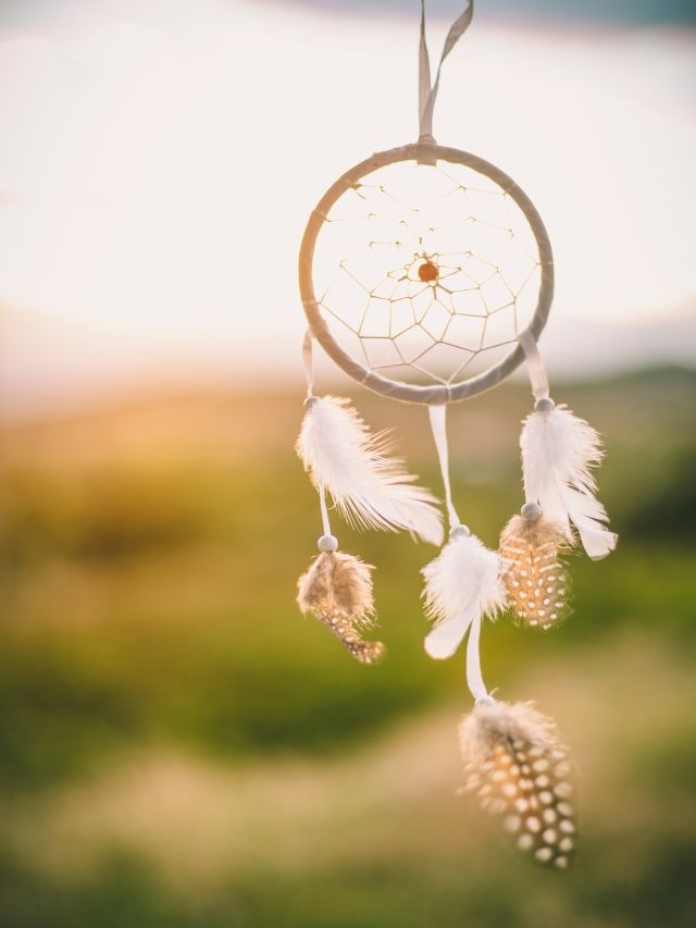 dream catcher in the wind with sun in the background
