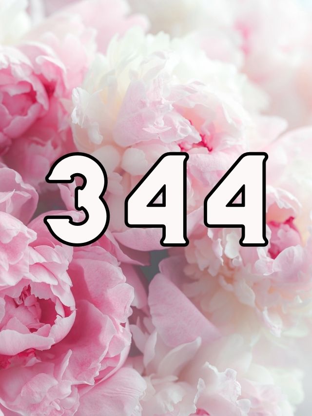 344 angel number meaning featuring the number 344 with a pink and white floral backdrop