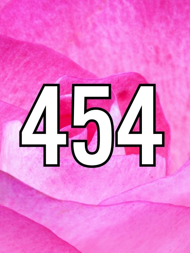 454 on pink