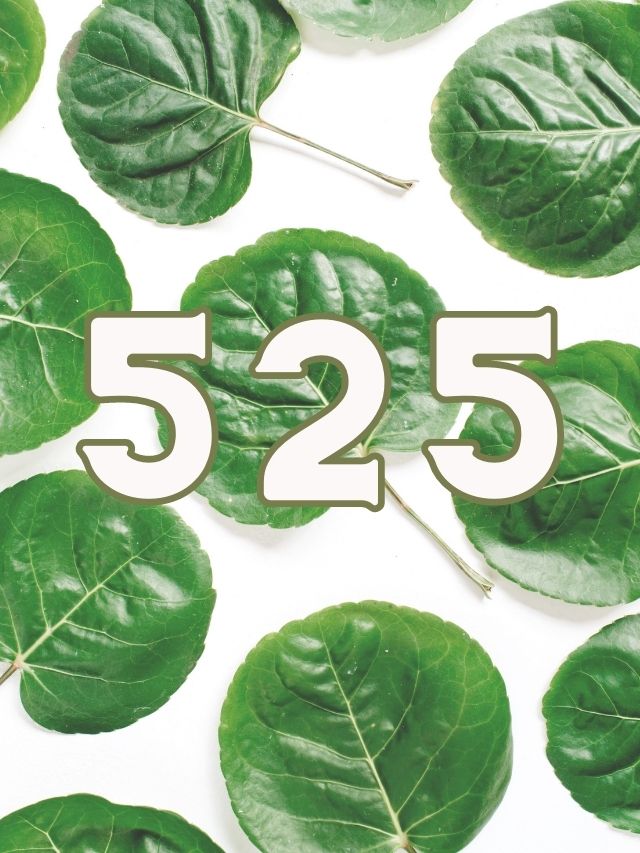 number 525 on leaf background