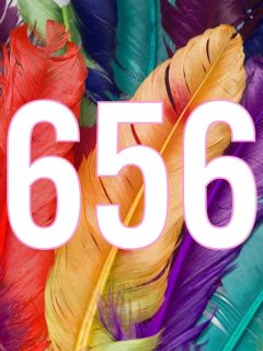 Colorful feathers with the number 656, symbolizing a significant angelic message.