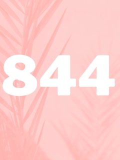 pink background with number 844