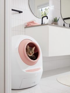 pink Leo’s Loo Too with cat