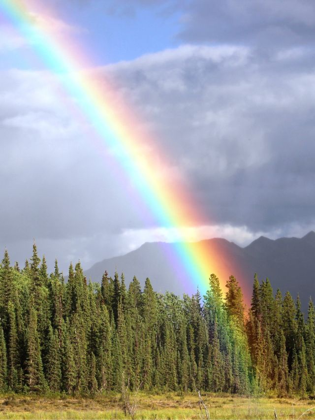 Meaning and Symbolism of Rainbows and Rainbow Colors
