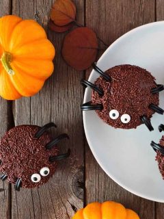 Chocolate spider cupcakes on a plate with pumpkins.