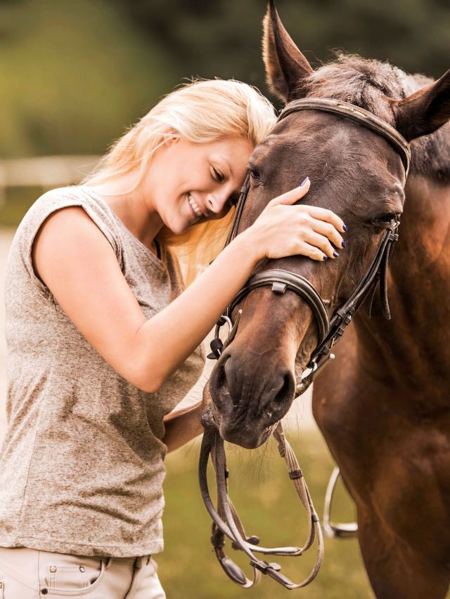 12 Equestrian Coffee Table Books for Horse Lovers