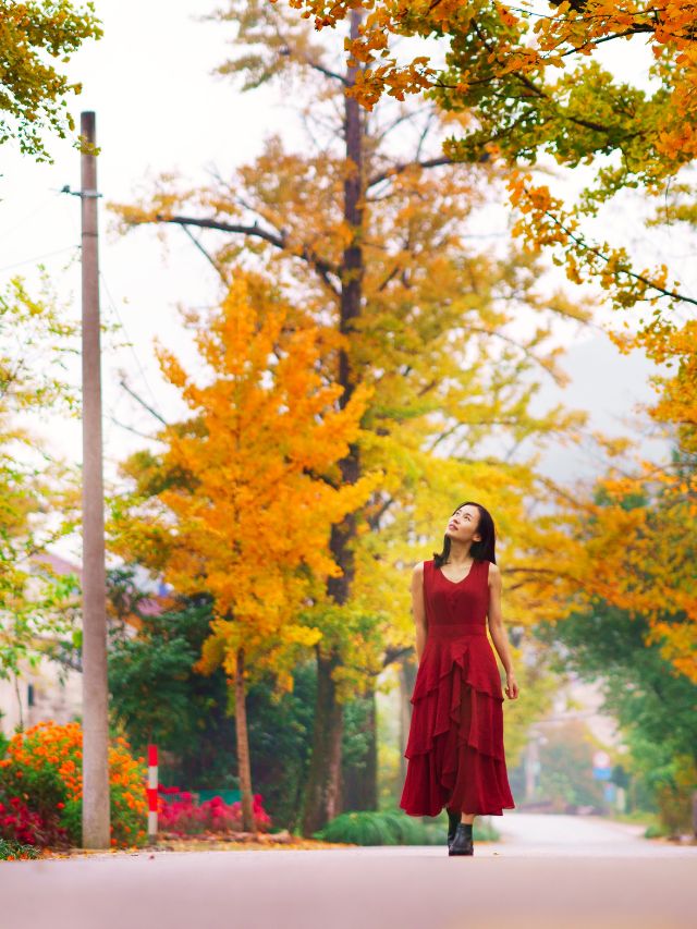 500 Best Fall Photoshoot Quotes & Instagram Captions