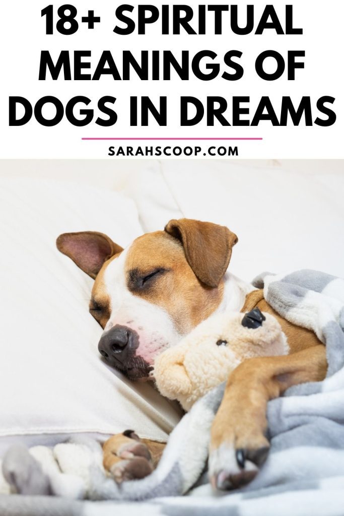 symbolism of dogs in dreams with a dog tucked into bed holding a stuffed animal