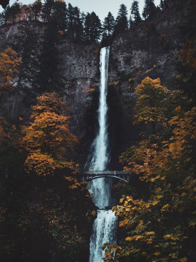 giant waterfall with bridge in autumn