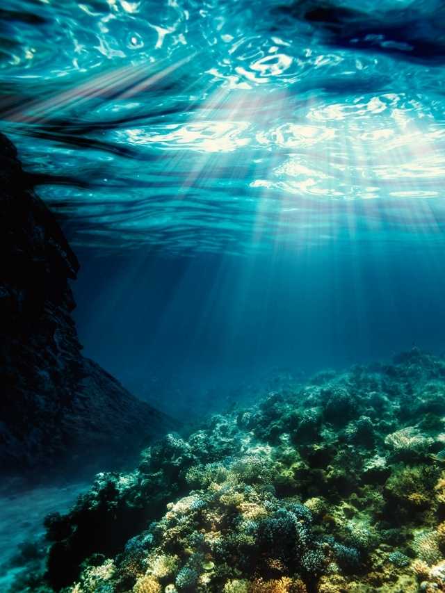 An underwater scene with sunlight shining on a coral reef.