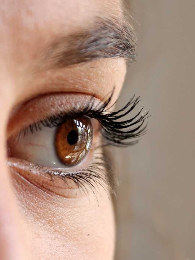 25 Best False Eyelashes: Tested and Reviewed (2024)