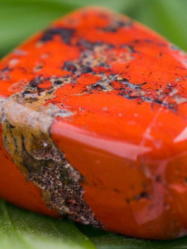 A piece of red coral sitting on a leaf.