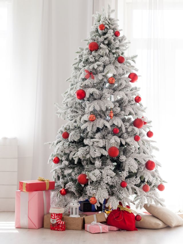 25 Best Christmas Tree for Allergies Guide and Tips
