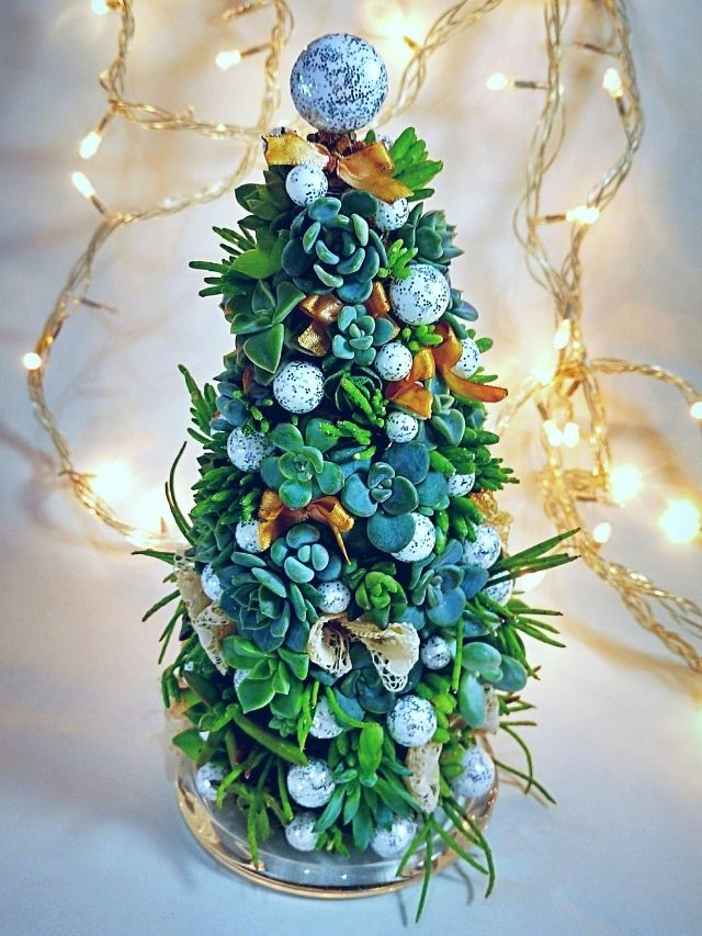 A christmas tree decorated with succulents and ornaments.