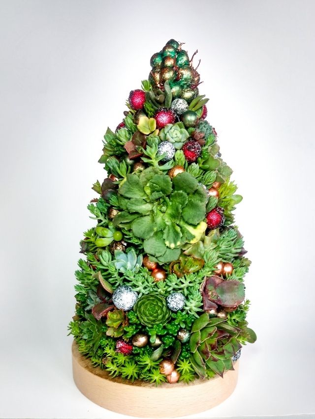 A christmas tree made out of succulents and ornaments.