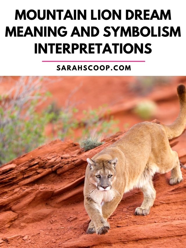 Mountain lion dream meaning and symbolism interpretations.