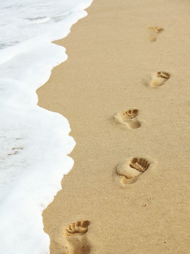 Footprints in the sand on the beach.