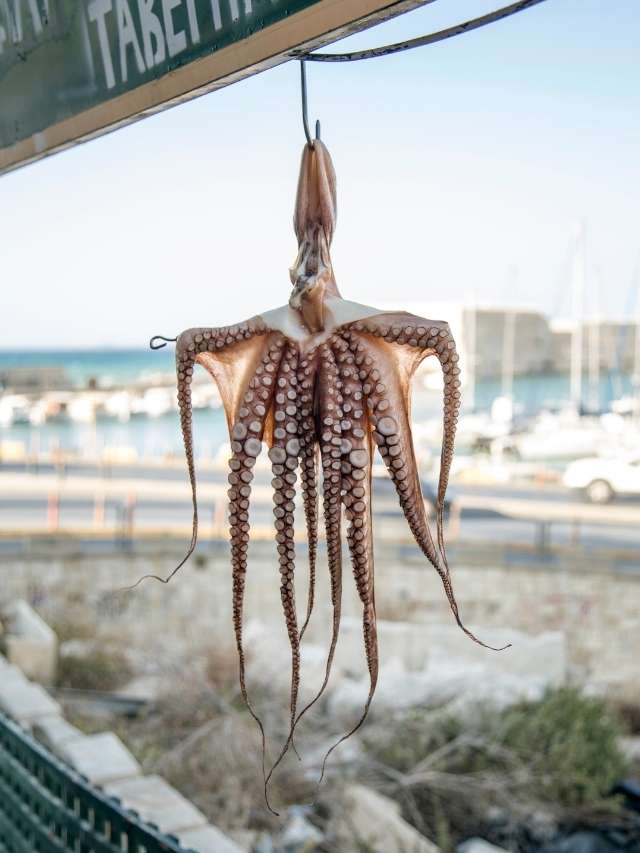 An octopus hanging from a hook in front of a building.