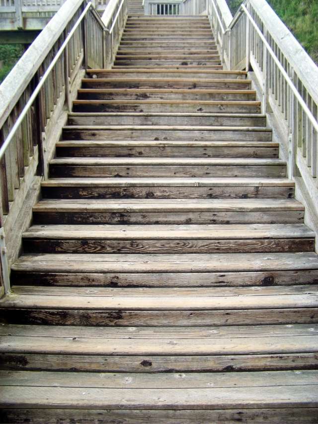 A wooden stairway leading up to a grassy area.