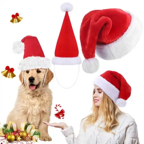 Matching Dog and Owner Santa Hats