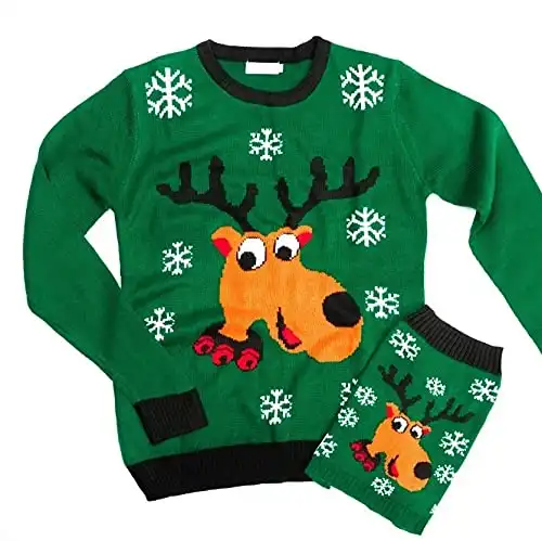 Rad Reindeer Human and Dog Matching Sweaters