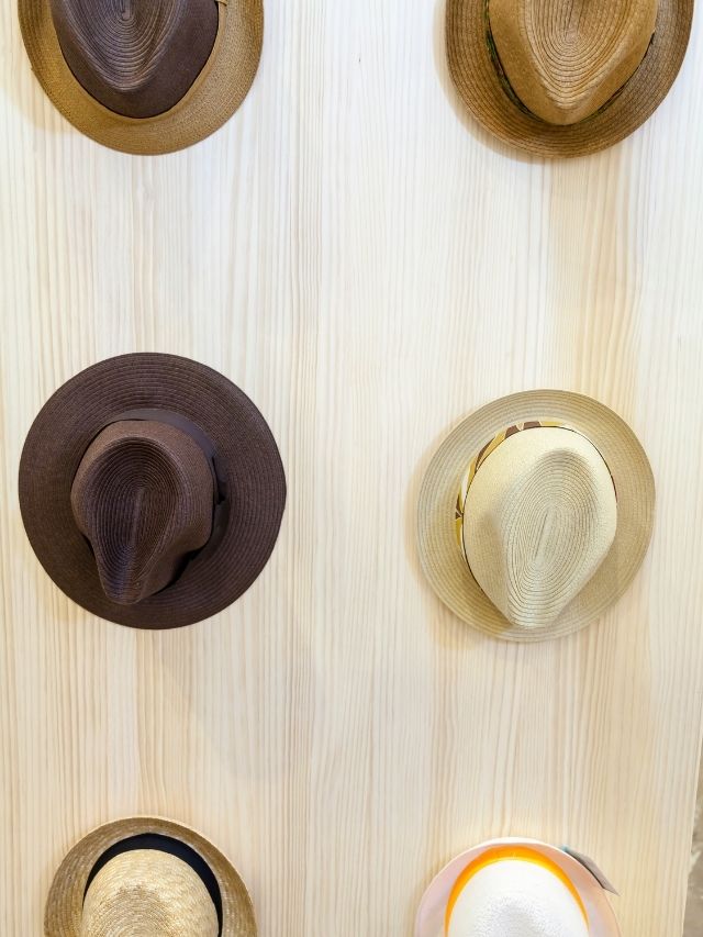 Hats are displayed on a wooden wall.